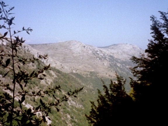 Photo de Bouyon