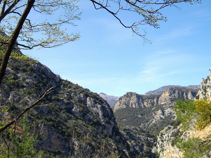 Photo de Bouyon