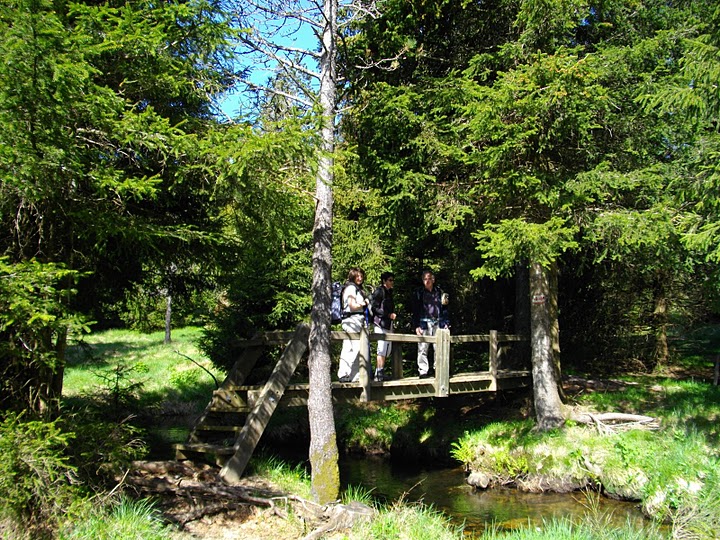 Photo de Bouyon