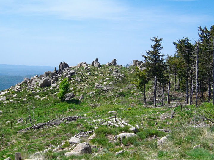 Photo de Bouyon