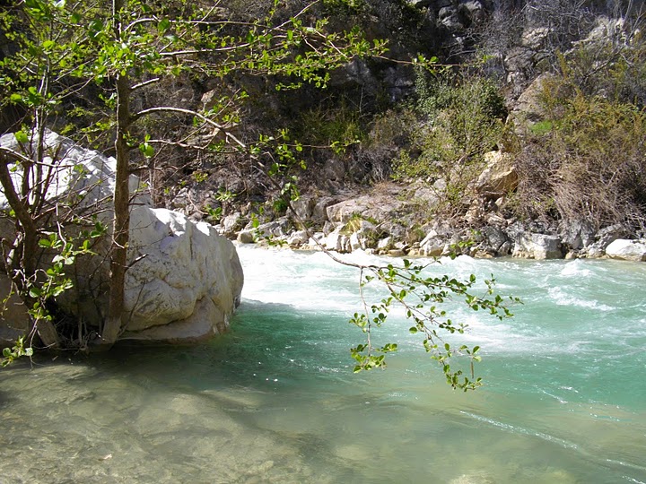 Photo de Bouyon