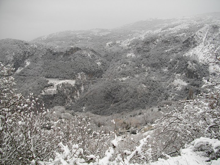 Photo de Bouyon