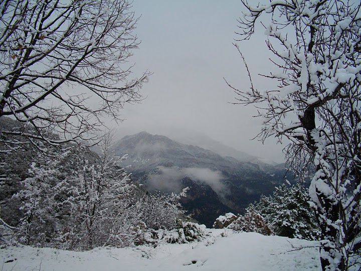 Photo de Bouyon